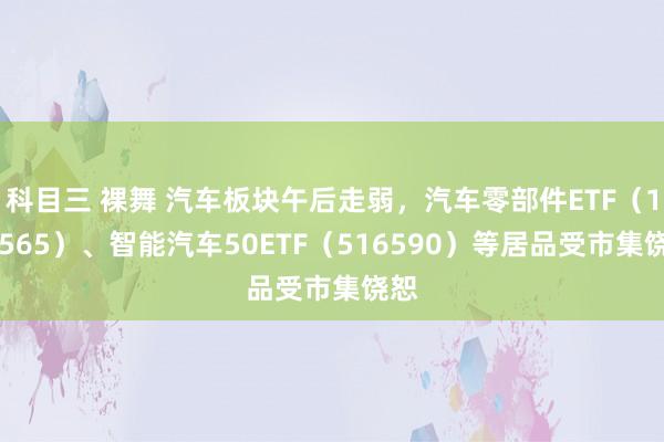 科目三 裸舞 汽车板块午后走弱，汽车零部件ETF（159565）、智能汽车50ETF（516590）等居品受市集饶恕