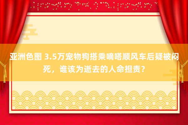 亚洲色图 3.5万宠物狗搭乘嘀嗒顺风车后疑被闷死，谁该为逝去的人命担责？