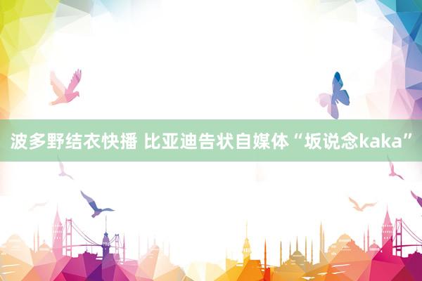 波多野结衣快播 比亚迪告状自媒体“坂说念kaka”
